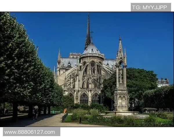 加莱诺的艺术世界探索与人文精神的深度融合之旅