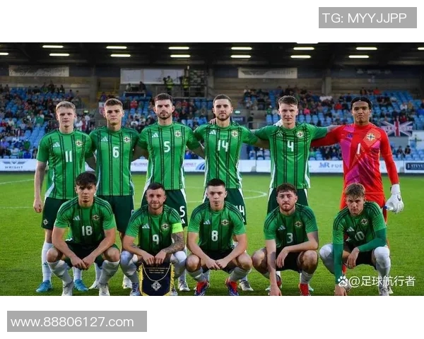 北爱尔兰与挪威足球对决比分揭晓精彩瞬间回顾