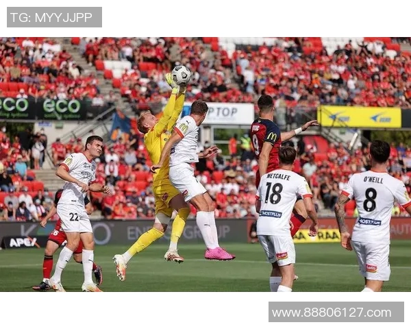 墨尔本胜利对阵大邱FC精彩比赛视频回顾与分析